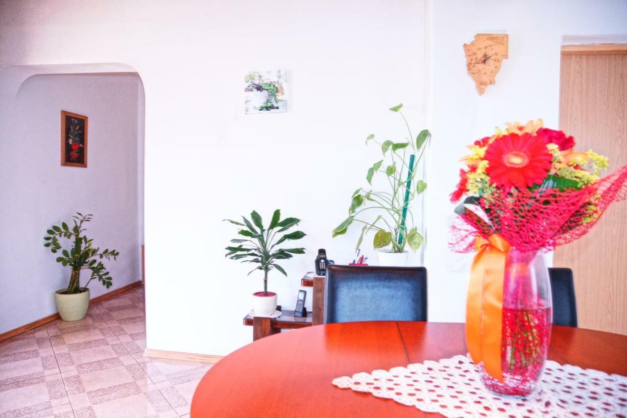Holiday Home Bura Rovinj Exterior photo